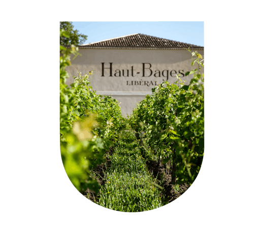 Château Haut-Bages Libéral